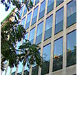 pole-tce-amo2